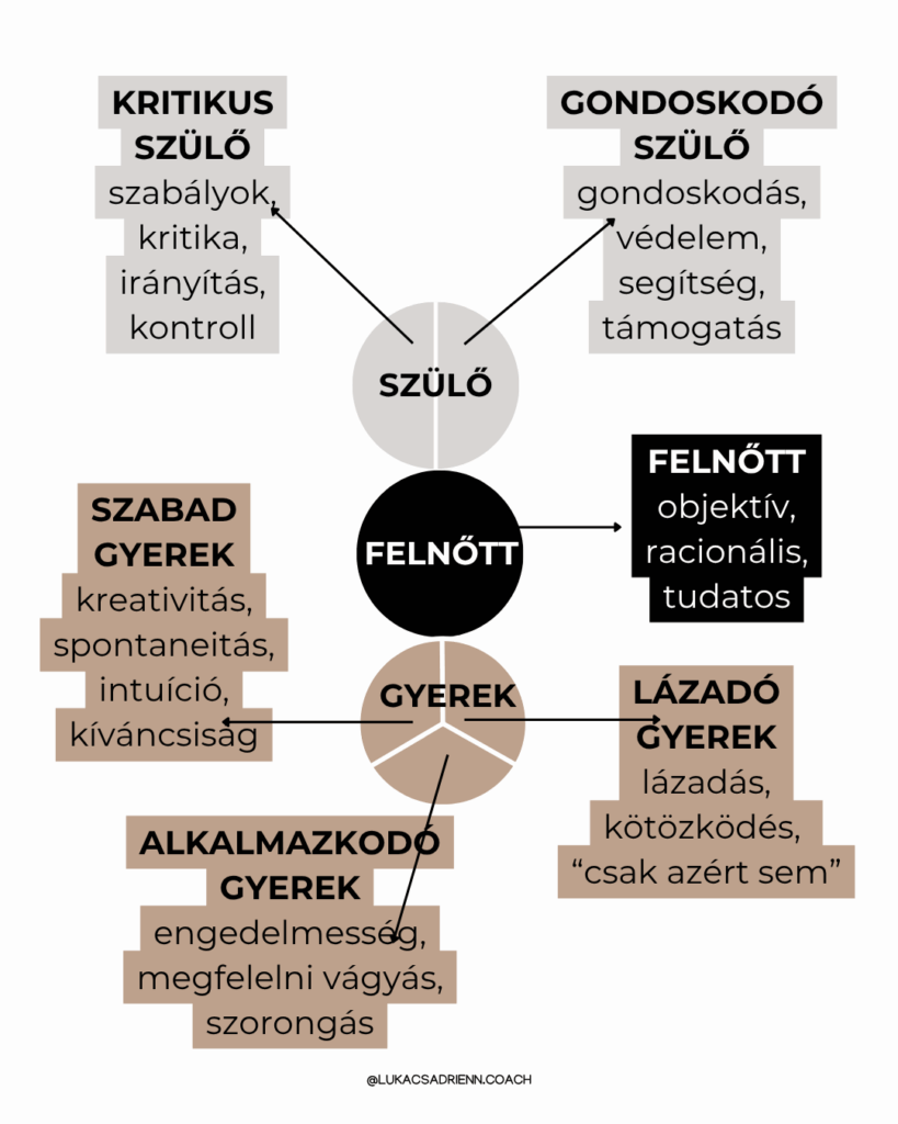Szemelyiseg szerkezete infografika
