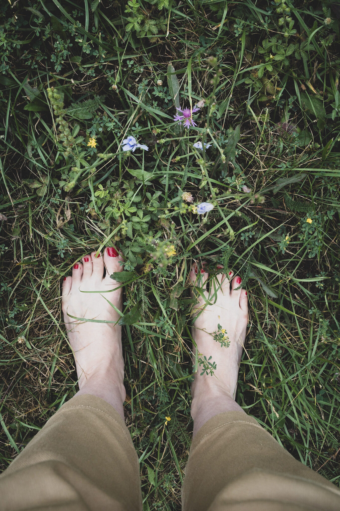 mindfulness a természetben workshop