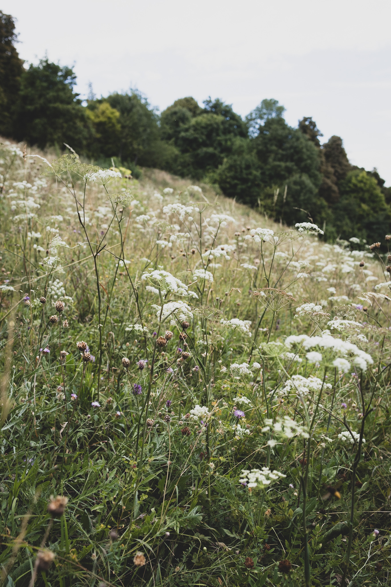 mindfulness a természetben workshop