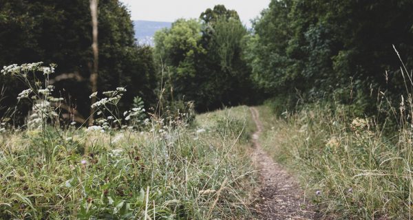 mindfulness a természetben workshop